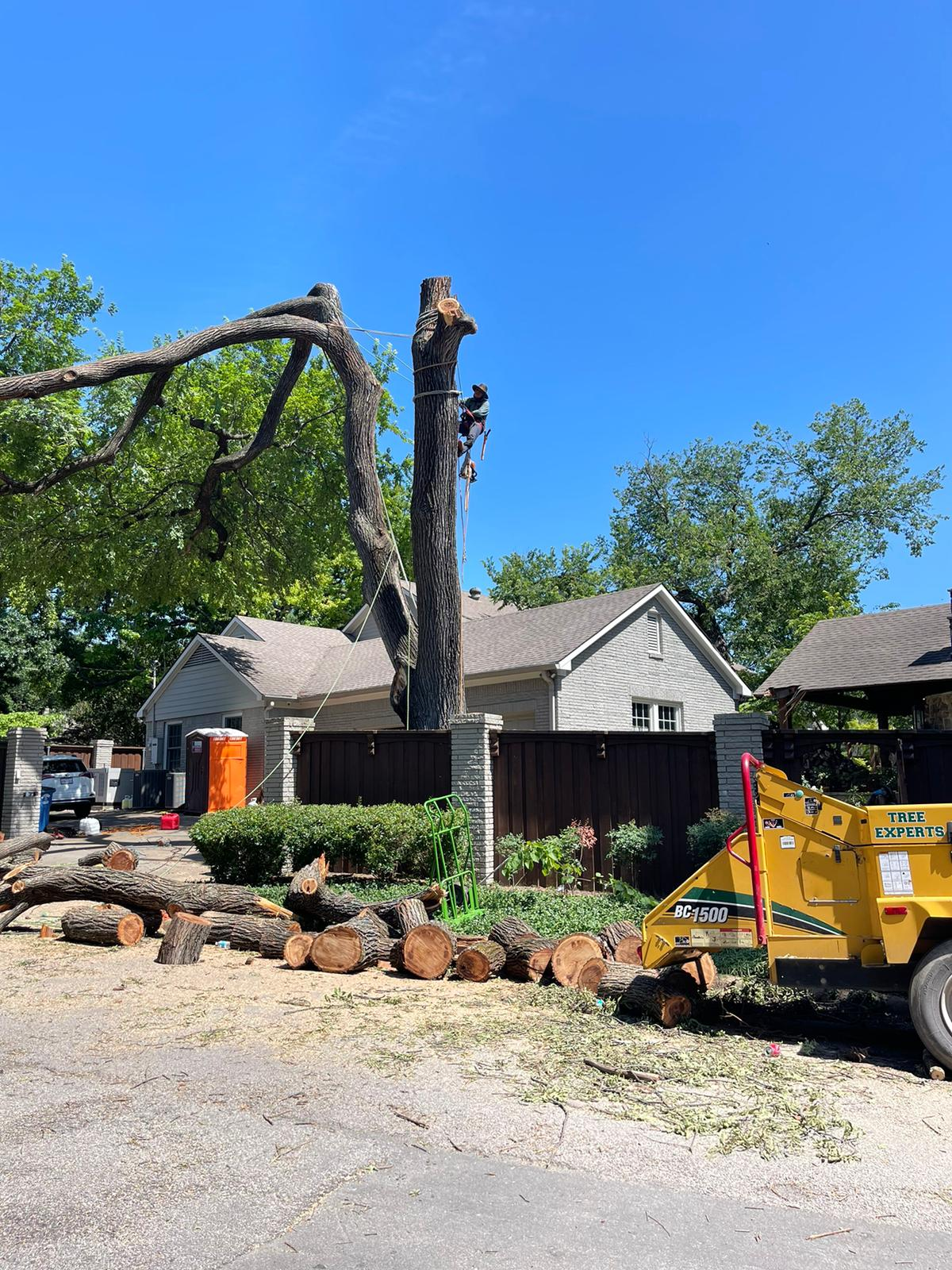 Professional tree removal underway beside a house and fence
